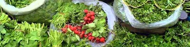 اختلاف عجیب قیمت انواع سبزی و صیفی‌جات در سازمان میادین با اتحادیه بارفروشان میوه و تره‌بار