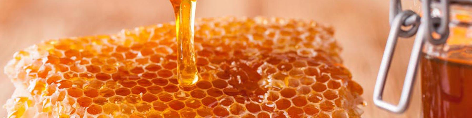 امکان تولید بیش از ۳۰۰ محصول از فرآورده‌های عسل در کشور/  وضعیت نامطلوب صنعت زنبورداری