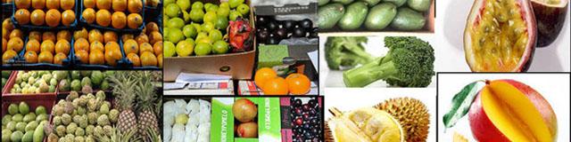 قیمت موز به کیلویی ۱۳ هزار تومان رسید/افزایش ۱۲ درصدی شش قلم میوه در بازار