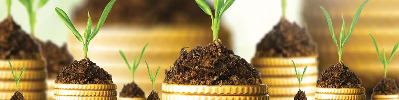 اختیارات رئیس جمهور در «طرح بانکداری اسلامی»