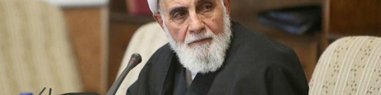 ناطق نوری: خصولتی‌ شدن از دولتی ماندن زیان بیشتری دارد