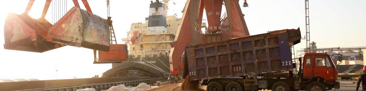 ترخیص جو منوط به تاییدیه وزارت جهاد کشاورزی شد