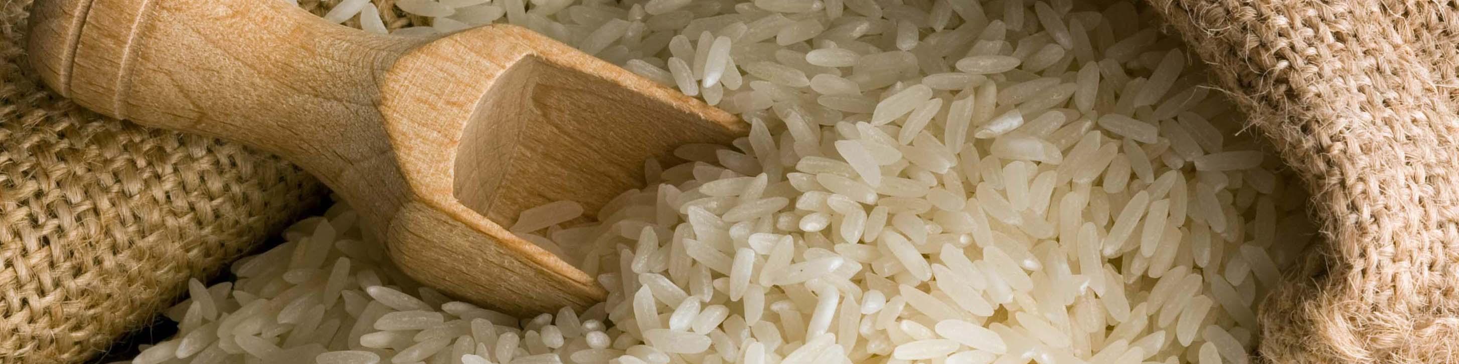 قیمت کیفی‌ترین برنج داخلی نباید بیشتر از ۲۰ هزار تومان باشد/ بهاری بدون شوک قیمتی پیش رو داریم