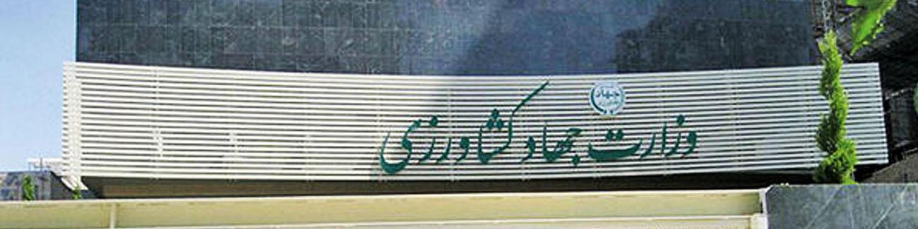 افزایش قیمت خرید تضمینی چغندرقند در سال زراعی جاری