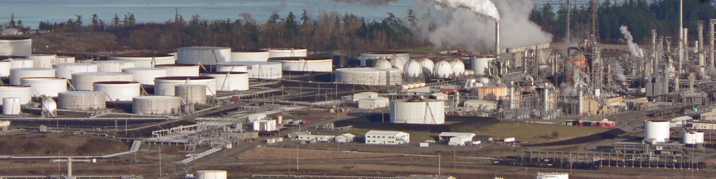 ریزش عجیب قیمت‌ها در بازار/ تقاضا به کف رسید