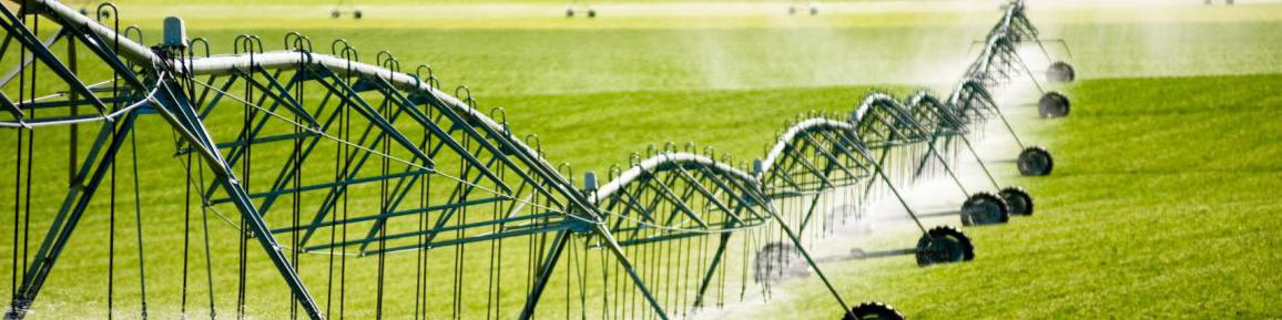 واکنش‌ها به بی‌برنامگی وزارت جهاد در اجرای الگوی کشت