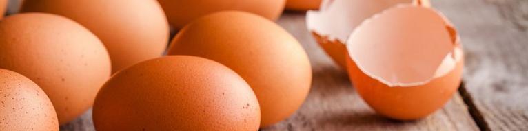 بازار تخم‌مرغ تعریفی ندارد؛ نرخ منطقی هر شانه تخم‌مرغ ۲۴ هزار تومان