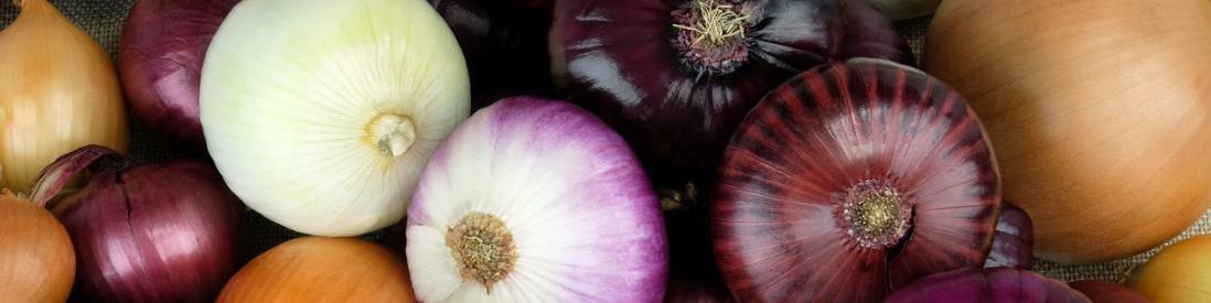 کشت خارج از برنامه ابلاغی عامل اصلی افت قیمت پیاز