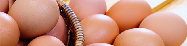 افزایش قیمت تخم مرغ به هیچ وجه قابل قبول نیست