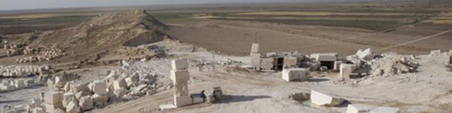 وجود ۸۱ تیپ ماده معدنی در ایران