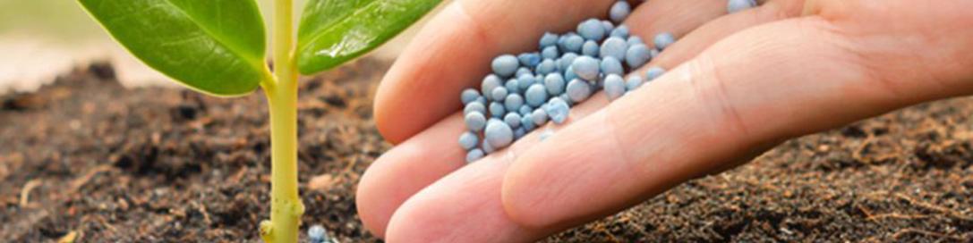 گلایه کشاورزان از کمبود کود اوره ادامه دارد