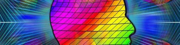 تئوری رنگ‌ها در انتخاب رنگ سازمانی