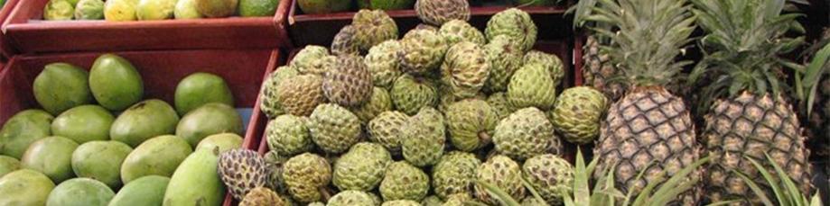 ماجرای واردات میوه چه بود؟/ میوه‌های ورود موقت سر از بازار داخل در آورد!