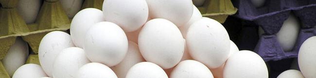 افزایش قیمت تخم مرغ چقدر است؟