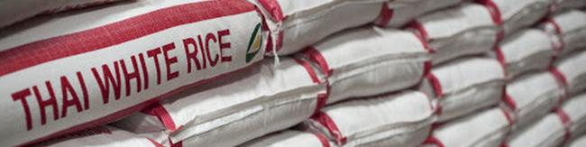 کاهش ۴۸ درصدی واردات برنج