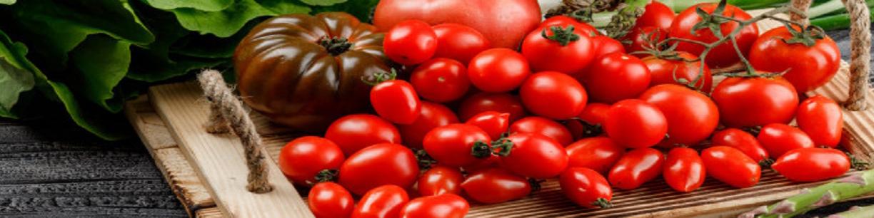 گرانی ۴۰ درصدی قیمت گوجه و پیاز؛ بازار تا ۴۵ روز آینده متعادل می‌شود