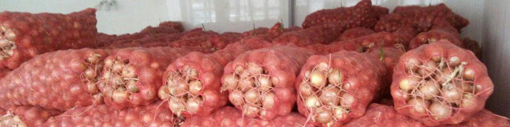 قیمت پیاز با عرضه تولیدات جدید به بازار به‌زودی کاهش می‌یابد