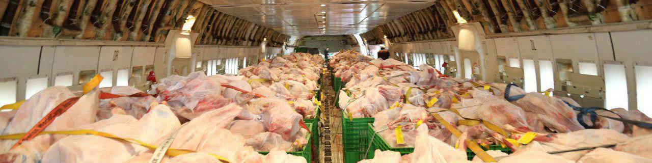 بازی مقرراتی با مرغ و تخم‌مرغ