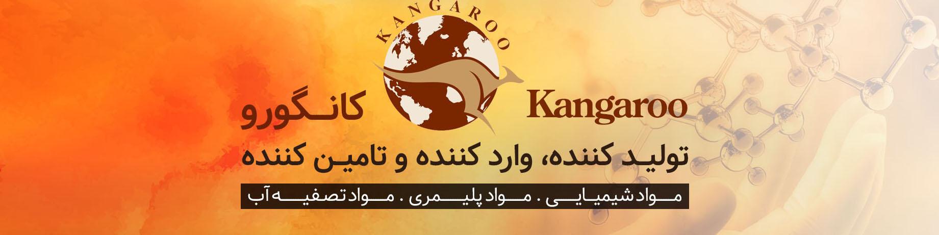 با شرکت کانگورو بیشتر آشنا شوید