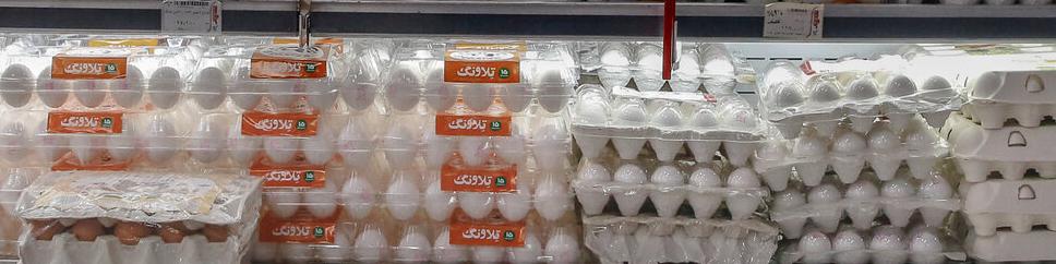 روند مشخصی برای تعیین قیمت تخم‌مرغ در واحدهای بسته‌بندی وجود ندارد