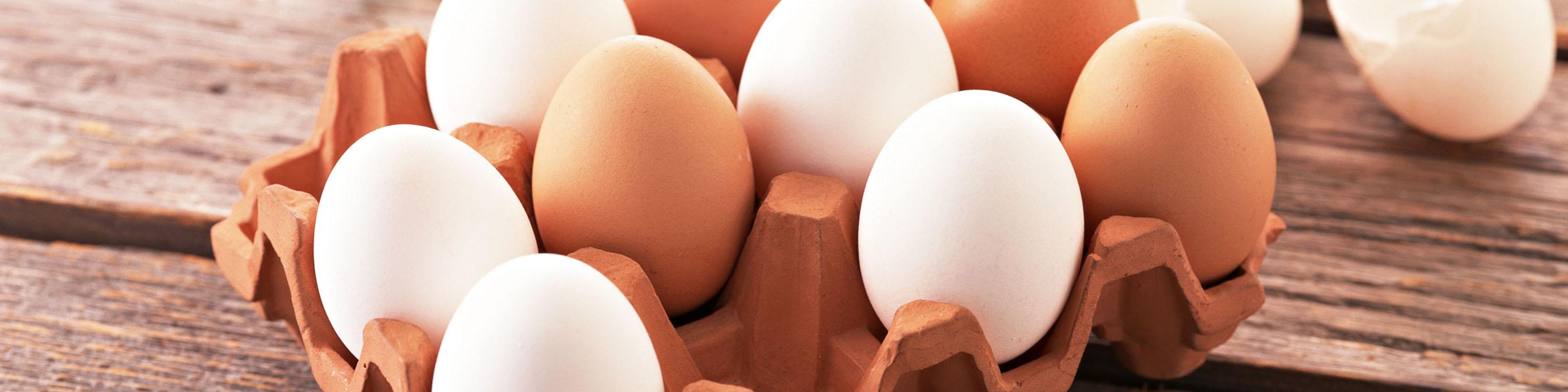 عقب نشینی وزارت صمت از الزام عرضه تخم مرغ بسته بندی در شرایط یخچالی