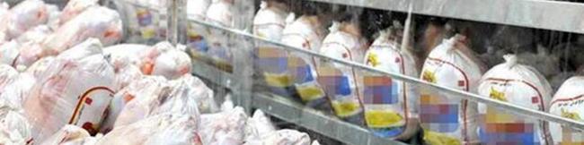 تنظیم بازار مرغ به وزارت کشاورزی سپرده شد