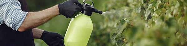 معرفی کودهای بی‌نظیر برای کشاورزی صنعتی و سنتی