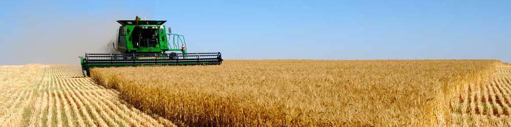 مجلس نرخ ۵ هزار تومانی گندم را قبول ندارد