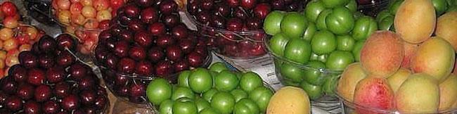 گرانترین میوه‌های فصل