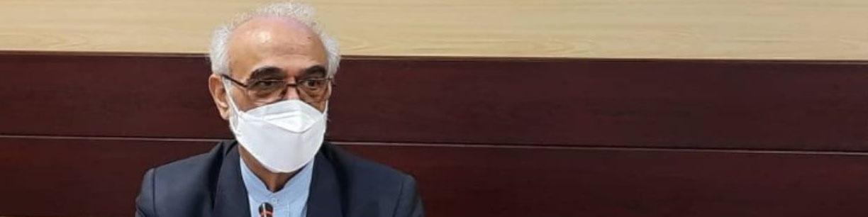 ایروانی: نهادهای انقلابی جزء خوش حساب‌ترین مؤدیان مالیاتی هستند