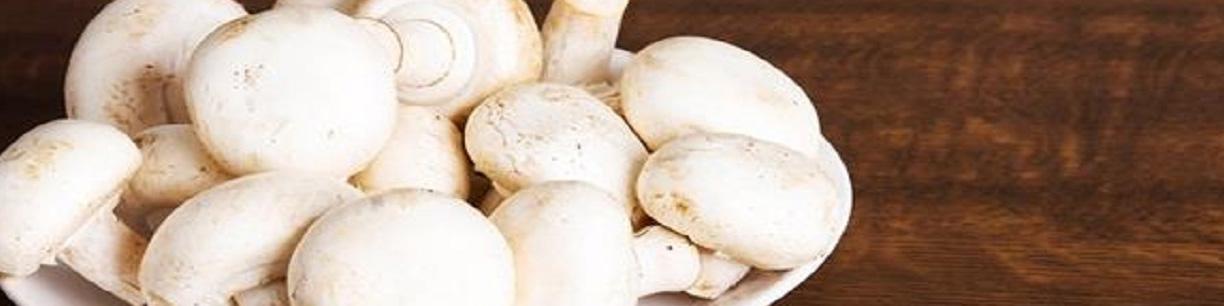 افت ۳۰ تا ۴۰ درصدی تولید قارچ در راه است/ قیمت هر کیلو قارچ ۴۰ هزار تومان