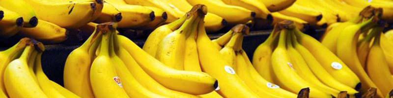 پاسکاری واردات موز/ ۳۰۰۰ تن بلاتکلیف ماند