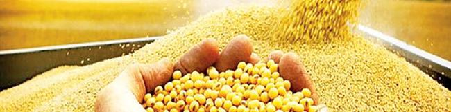 بازارگاه همچنان در صدر مشکلات تامین نهاده‌های دامی!