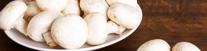 افزایش ۳۰ تا ۳۵ درصدی قیمت قارچ نسبت به سال گذشته/ تقاضا ۴۰ درصد کاهش یافت