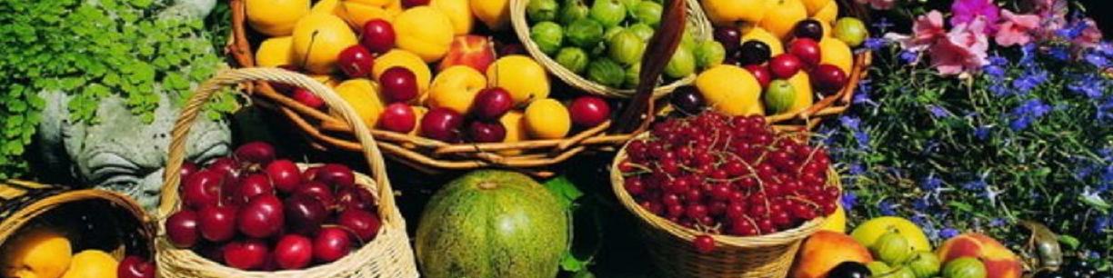 ثبات قیمت میوه طی ماه آینده به دلیل تنوع میوه‌های تابستانه