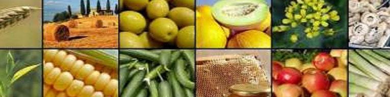 سیگنال رشد نرخ در بازارهای کشاورزی