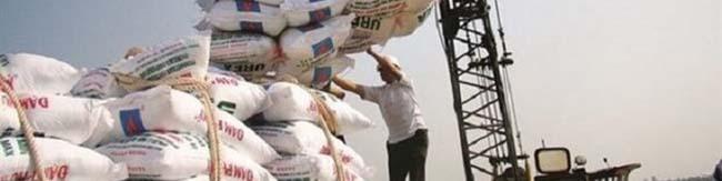 ثبت سفارش واردات برنج از ۱۰ آبان/ ۱۰۰ تا ۱۵۰ هزار تن برنج باید وارد شود