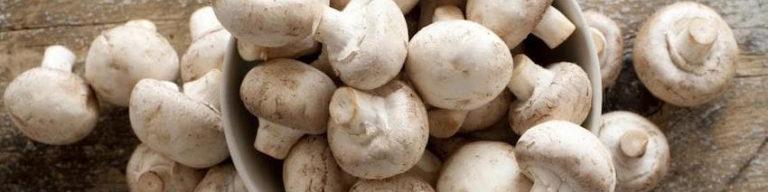 تولید قارچ به بالای ۱۹۰ هزار تن می‌رسد/ عرضه هرکیلو قارچ بالاتر از ۵۰ هزار تومان گرانفروشی است