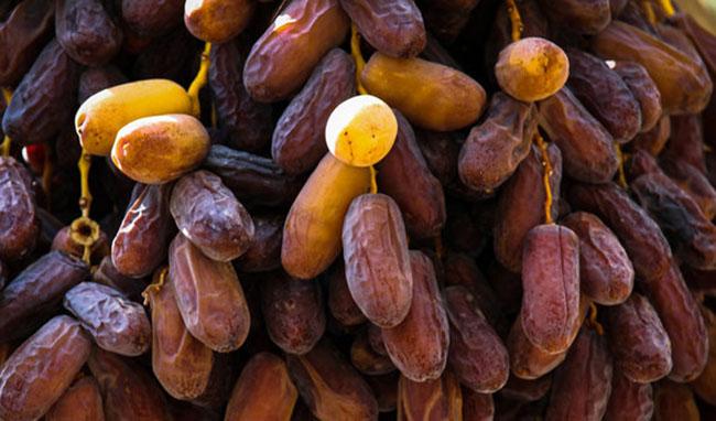 نخلداری قراردادی راهکار توسعه تجارت جهانی خرما/ ایران جایگاه دوم تولید و چهارم صادرات دنیا را دارد