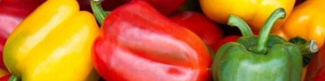 سموم مورد استفاده در صیفی‌جات ایران، در اروپا هم مصرف می‌شود