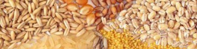 عواقب ابهام در یک بخشنامه/نهاده‌های دامی مشمول پرداخت عوارض شدند!