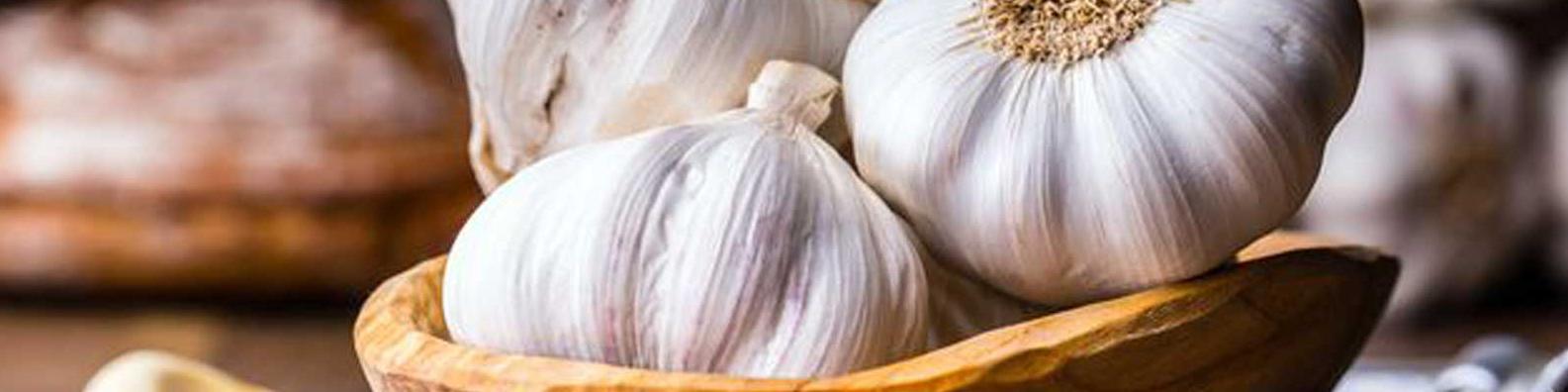 مافیای تجاری پشت واردات سیر از چین/ ۴۰ درصد تولید داخلی صادر می‌شود/ در همدان سردخانه سیر نداریم