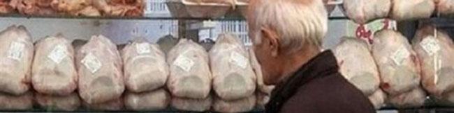 قیمت مرغ ۸۰ هزار تومان نخواهد شد
