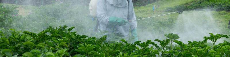 بخش عمده سموم آماده مصرف از کشورهای اروپایی وارد می‌شود