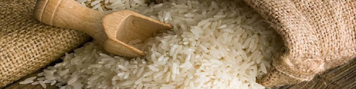 افزایش مجدد قیمت برنج در یک هفته اخیر/ ۸۰ درصد برنج داخلی را دپو کرده‌اند