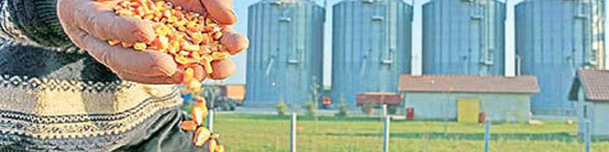 قیمت‌های جدید پایه ارزی وارداتی نهاده‌های دامی اعلام شد