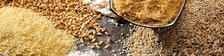 افزایش شدید قیمت گندم و خوراک دام در بازارهای جهانی