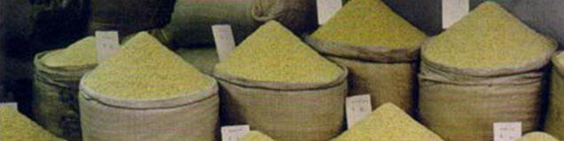 مصوبه اصلاح قانون خرید تضمینی برنج داخلی و پنبه ابلاغ شد