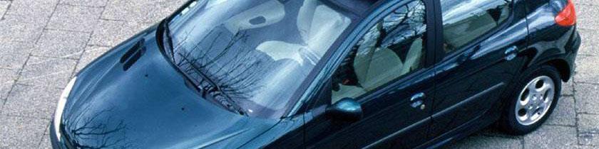 پژو ۲۰۶ تیپ ۳ با سقف پانوراما را بشناسید