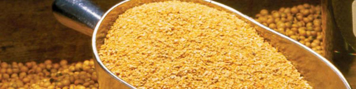 عرضه ١٠٠ هزارتن کنجاله در هفته آینده